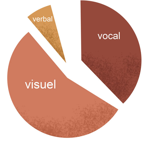 verbal, visuel, vocal, les 3 composantes d